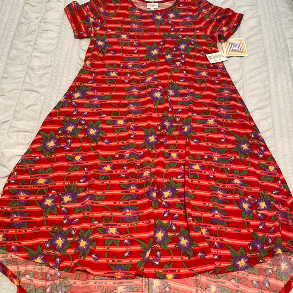 NWT Carly Swing  Dress by LuLaRoe